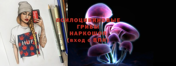крисы Покачи