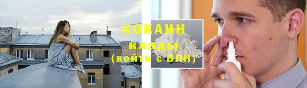 индика Арсеньев