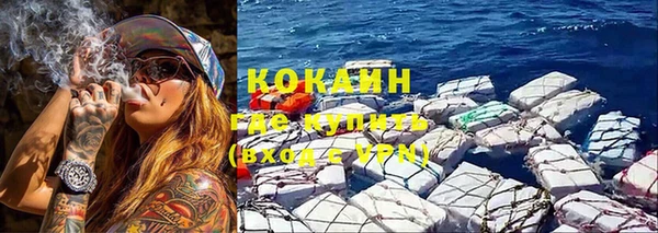 индика Арсеньев
