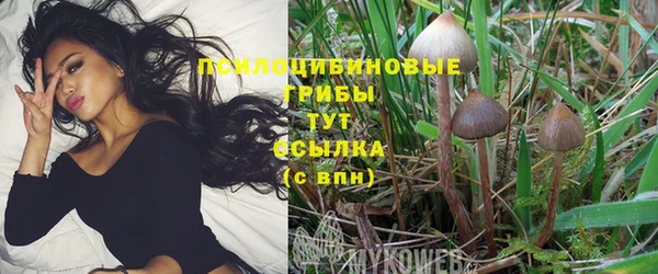 трава Покровск