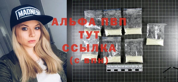 индика Арсеньев