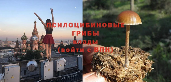 индика Арсеньев