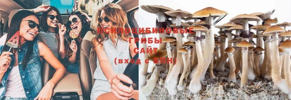 индика Арсеньев