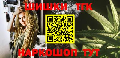 стафф Гатчина