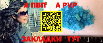 стафф Гатчина
