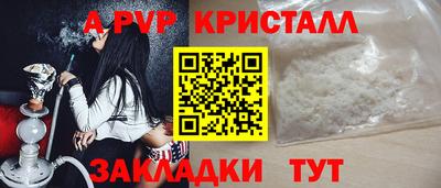 стафф Гатчина
