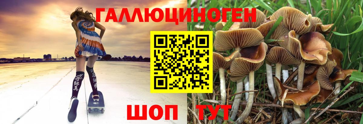 Галлюциногенные грибы Magic Shrooms  Вход с VPN  Гатчина  Галлюциногенные грибы мицелий 